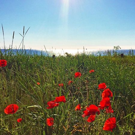 Strandresort Prora - Penthouse 504 Mit Meerblick Und Sauna Binz Dış mekan fotoğraf